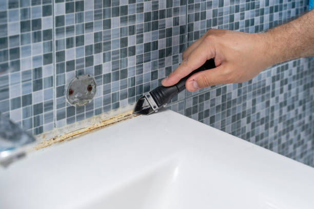 Best Black Mold Removal  in Waynesboro, GA