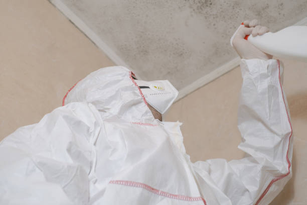 Best Mold Removal Company Near Me  in Waynesboro, GA