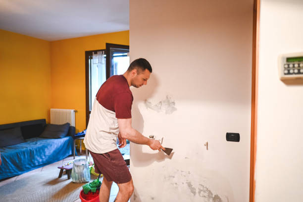 Best Mold Cleaning Services  in Waynesboro, GA